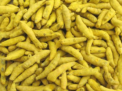 erode turmeric